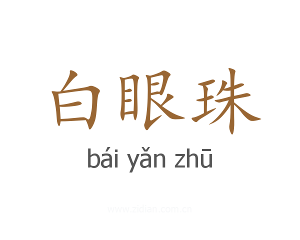 白眼珠