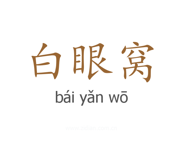 白眼窝