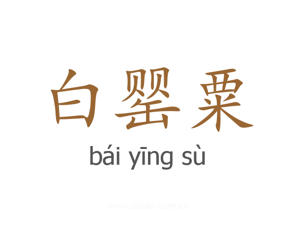 白罂粟