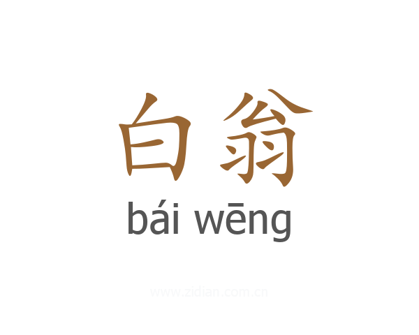 白翁