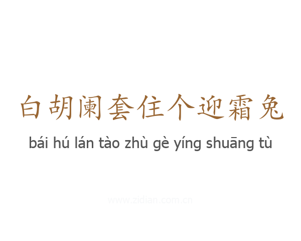 白胡阑套住个迎霜兔