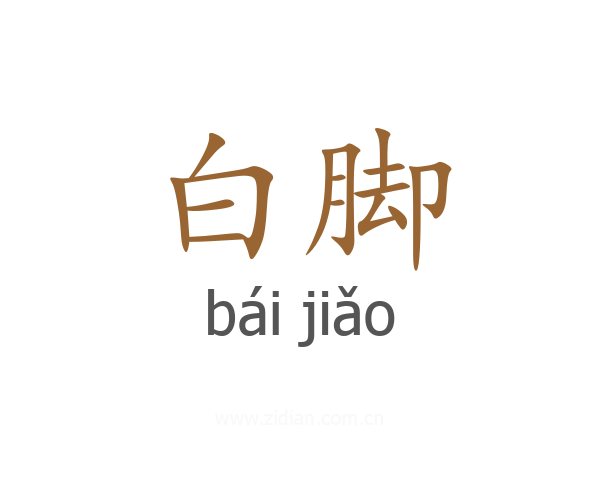 白脚