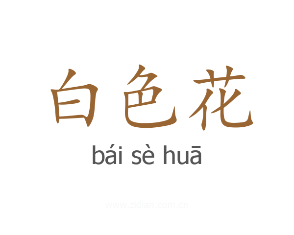 白色花