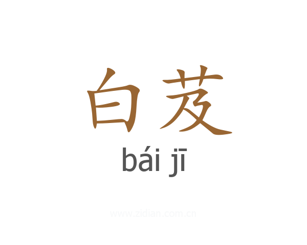 白芨