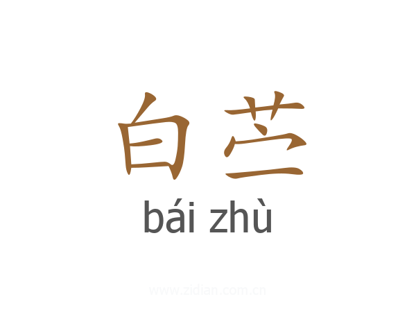 白苎