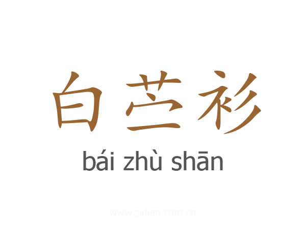 白苎衫