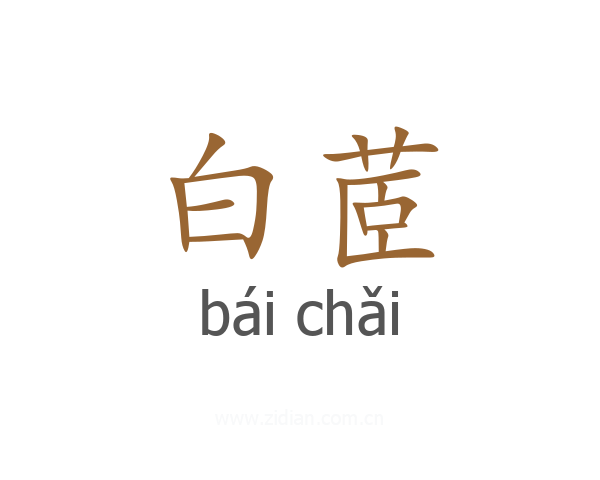 白茝