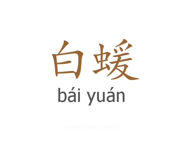 白蝯