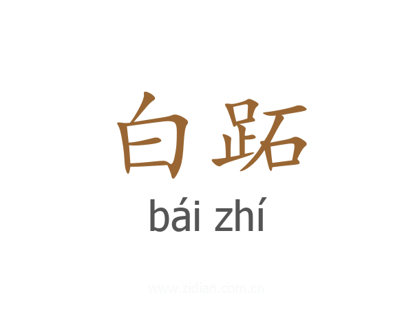 白跖