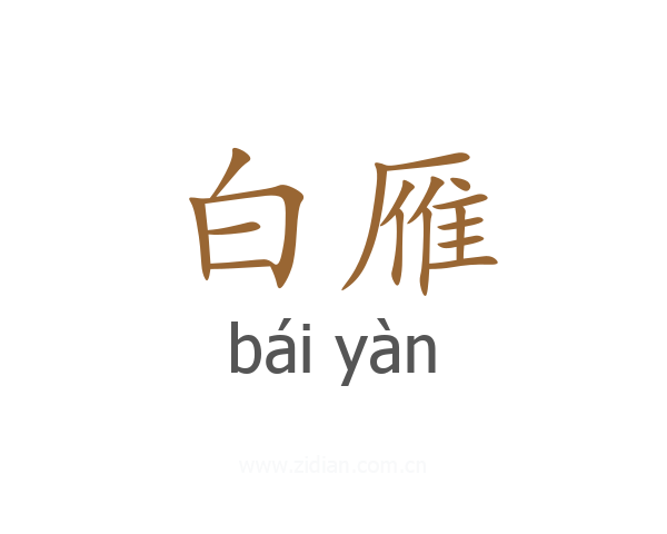 白雁