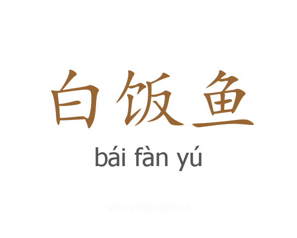 白饭鱼