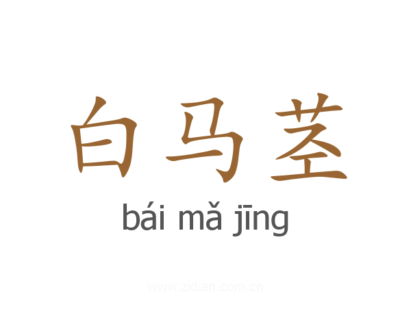 白马茎
