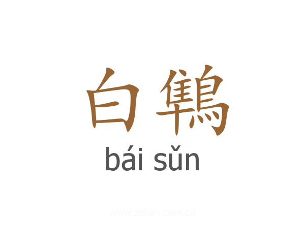 白鶽
