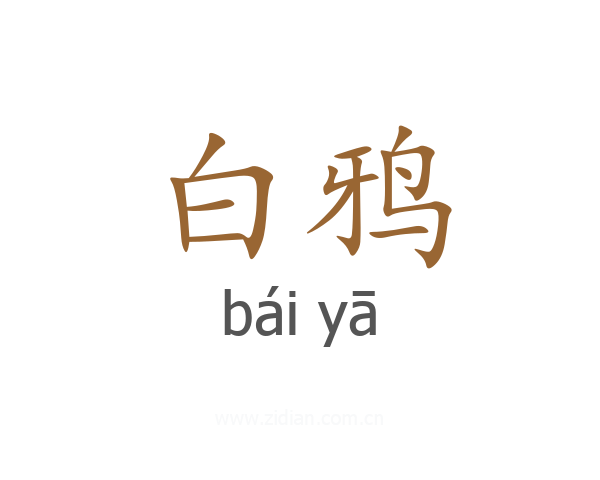 白鸦