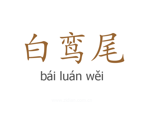 白鸾尾