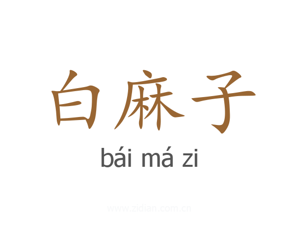 白麻子