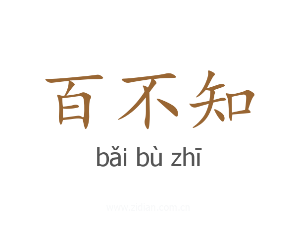 百不知