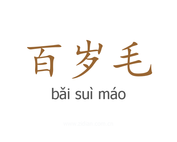 百岁毛