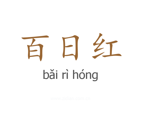 百日红