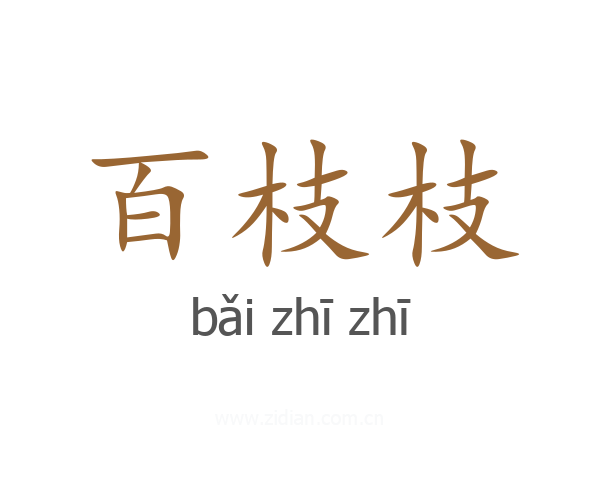 百枝枝