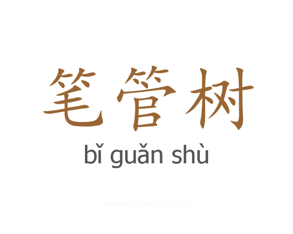 笔管树