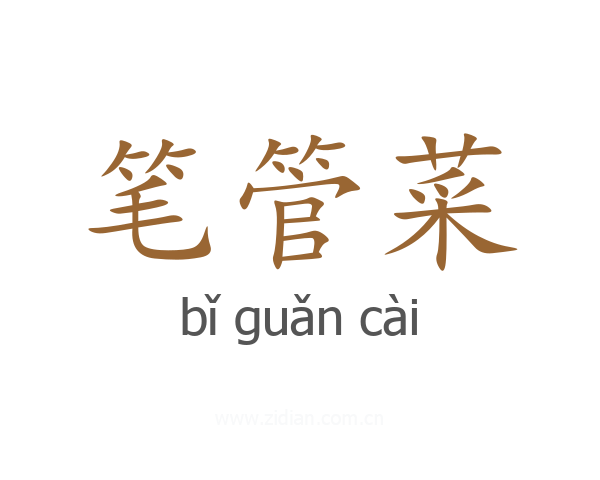 笔管菜