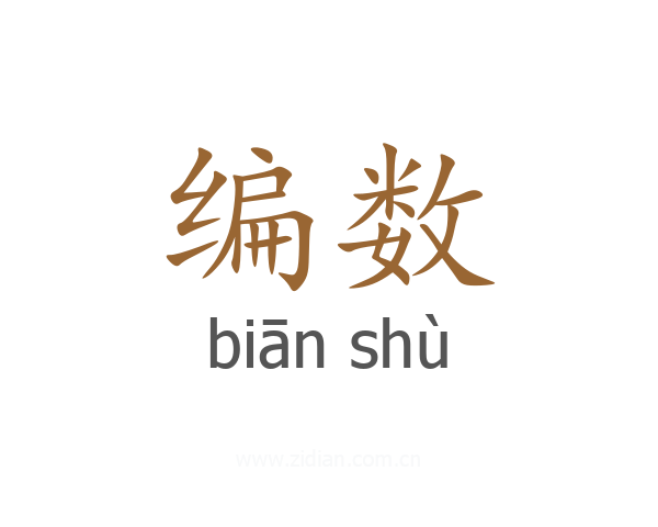 编数