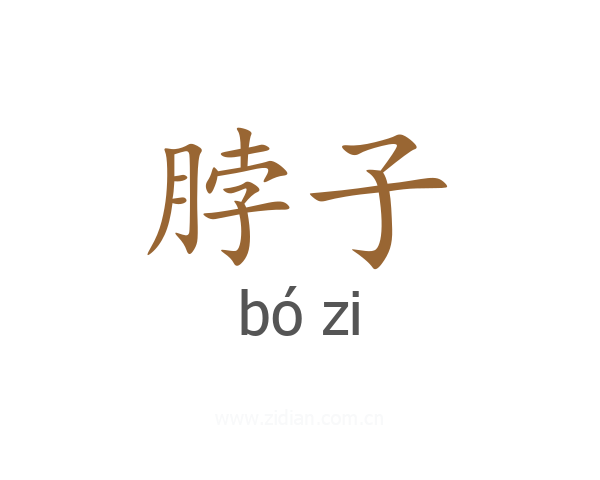 脖子