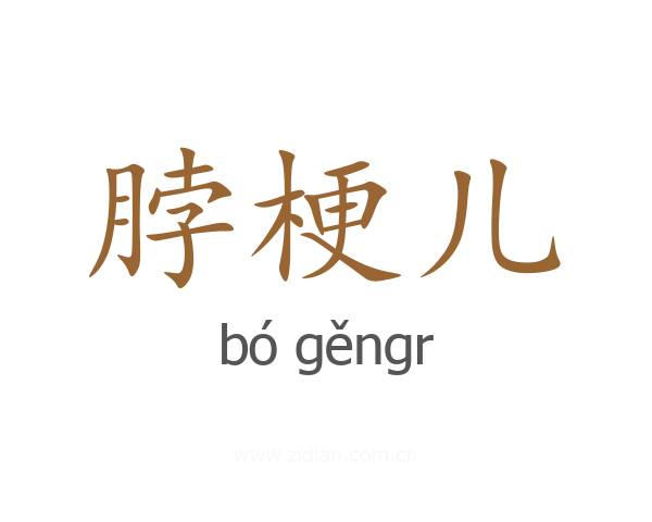脖梗儿