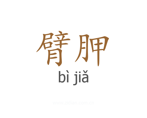 臂胛