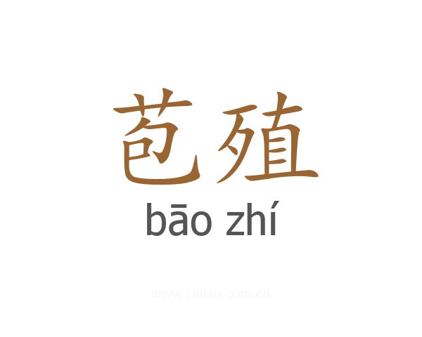 苞殖