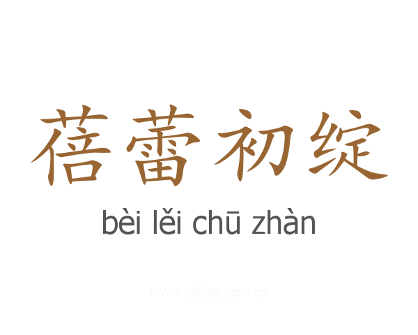 蓓蕾初绽