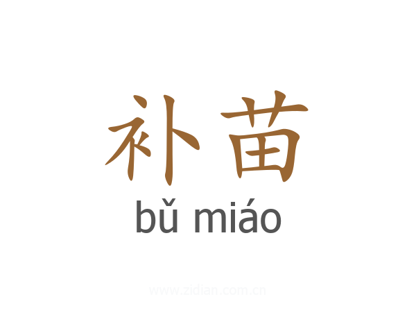 补苗