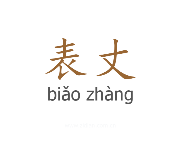 表丈