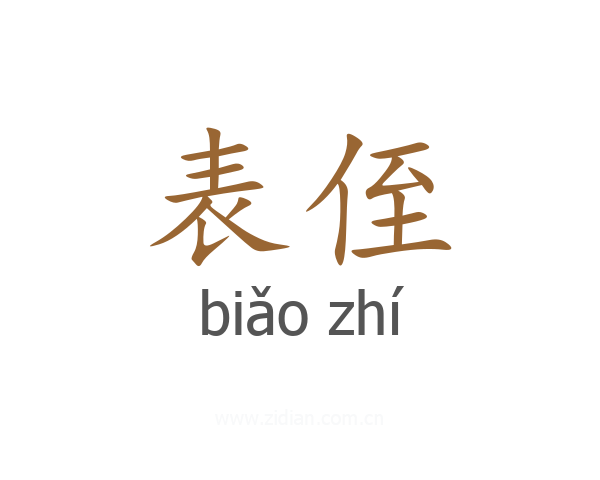 表侄