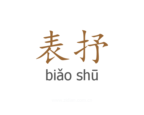 表抒