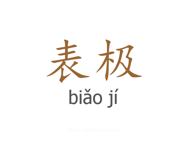 表极