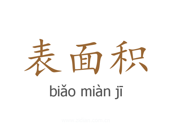 表面积