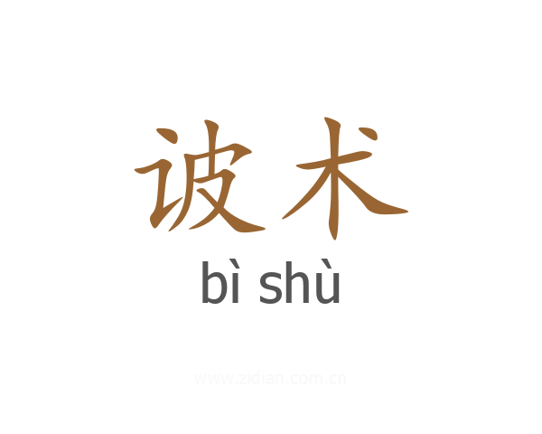 诐术