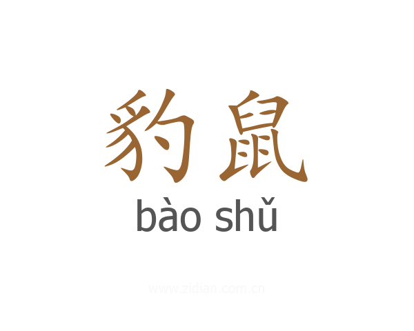 豹鼠