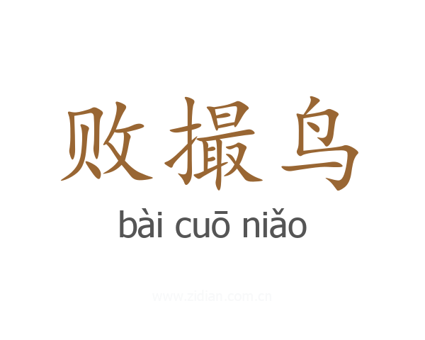 败撮鸟