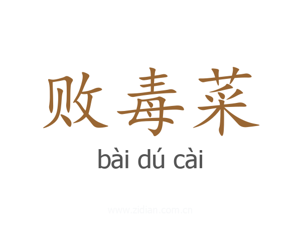 败毒菜