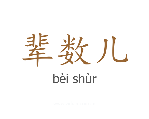 辈数儿