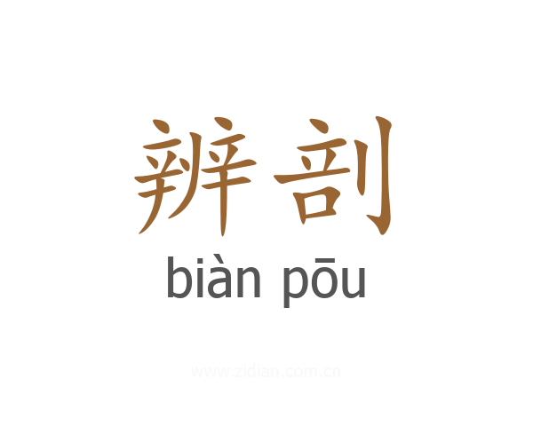辨剖