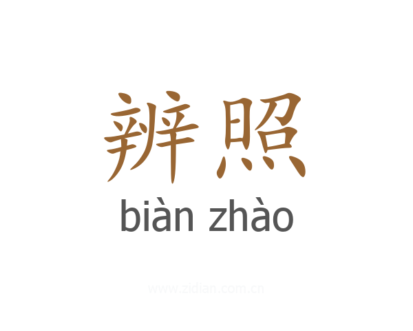 辨照
