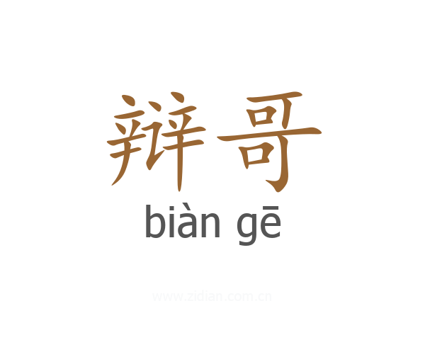 辩哥