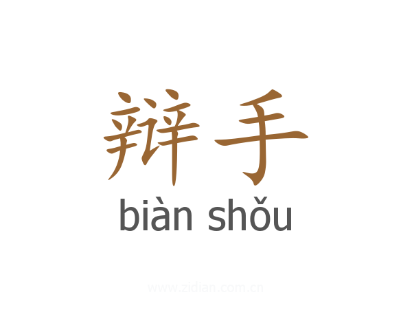 辩手