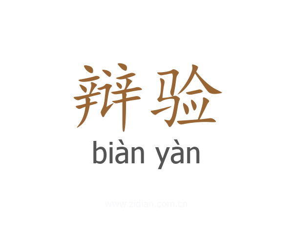 辩验