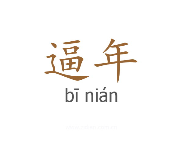 逼年