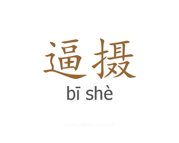 逼摄